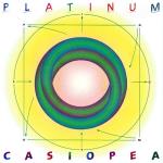 Platinum Platinum