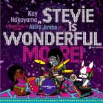 STEViE iS WONDERFUL MORE! STEViE iS WONDERFUL MORE!